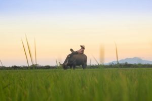 kiril dobrev ub0qivpsxgc unsplash